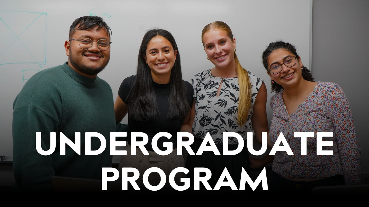 undergraduate program
